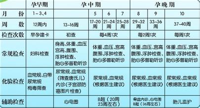 專家詳解——孕期檢查時間表