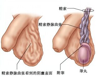 汾陽酒都醫(yī)院