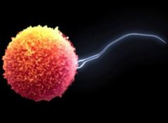 汾陽治療精子活力差需要多少錢？
