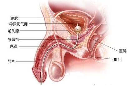 汾陽(yáng)酒都醫(yī)院