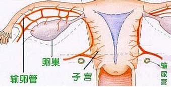 汾陽酒都醫(yī)院