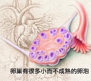 汾陽(yáng)酒都醫(yī)院