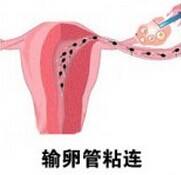 汾陽酒都醫(yī)院