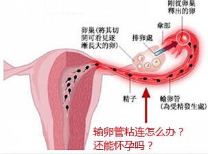 汾陽(yáng)酒都醫(yī)院
