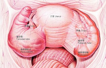 汾陽酒都醫(yī)院