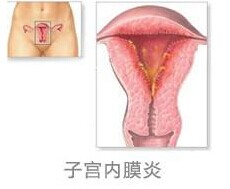 汾陽(yáng)酒都醫(yī)院