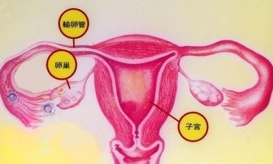 汾陽(yáng)酒都醫(yī)院